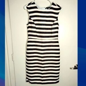 Banana Republic (Size 6) Navy White Stripe Office Dress